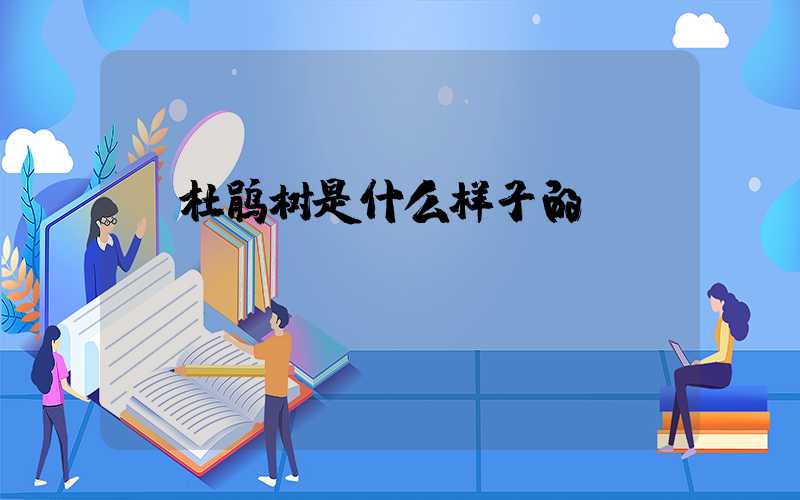 杜鹃树是什么样子的